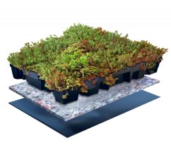 Vegetační dlaždice Click and Go Light 0,21m2