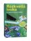 Letničková biodiverzitní směs pro zelené střechy 50g