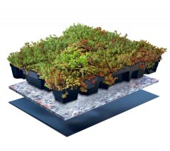 Vegetační dlaždice Click and Go Light 0,21m2