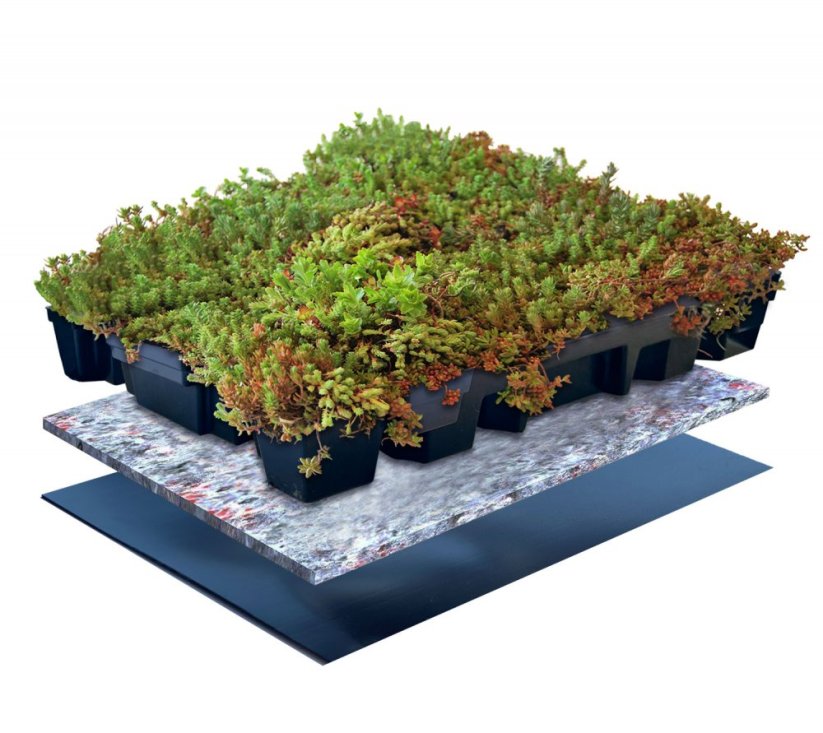 Vegetační dlaždice Click and Go Light 0,21m2