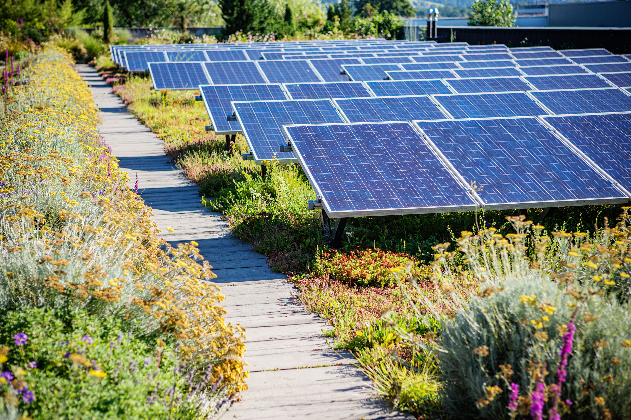 Vše pro zelenou střechu a fotovoltaiku